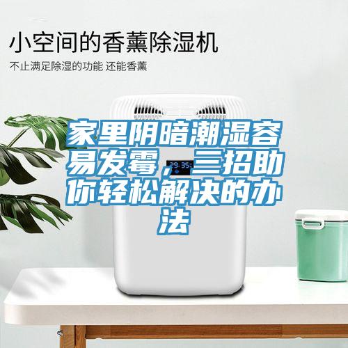 家里陰暗潮濕容易發(fā)霉，三招助你輕松解決的辦法