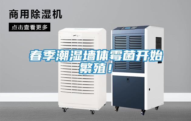 春季潮濕墻體霉菌開始繁殖！