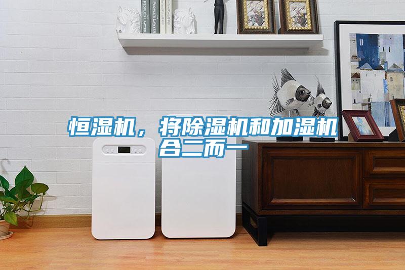 恒濕機(jī)，將除濕機(jī)和加濕機(jī)合二而一