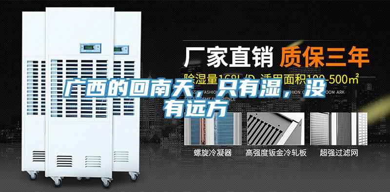 廣西的回南天，只有濕，沒(méi)有遠(yuǎn)方