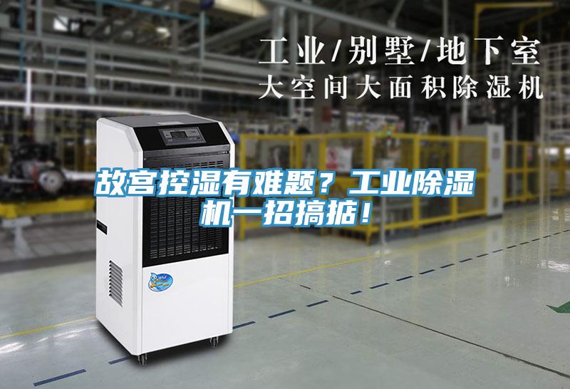 故宮控濕有難題？工業(yè)除濕機(jī)一招搞掂！