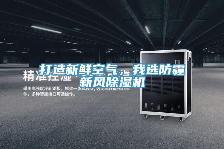 打造新鮮空氣，我選防霾新風(fēng)除濕機(jī)