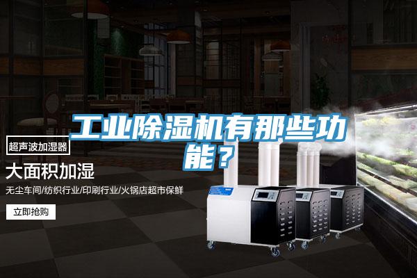 工業(yè)除濕機有那些功能？