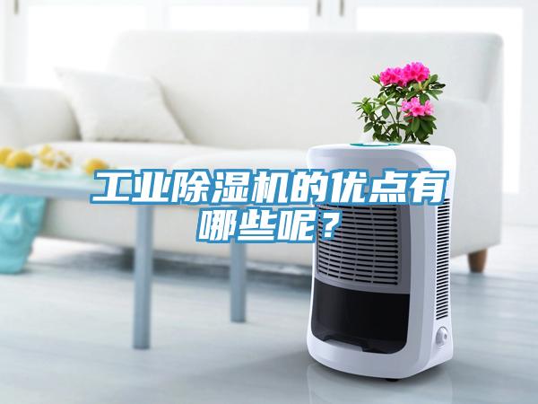 工業(yè)除濕機的優(yōu)點有哪些呢？