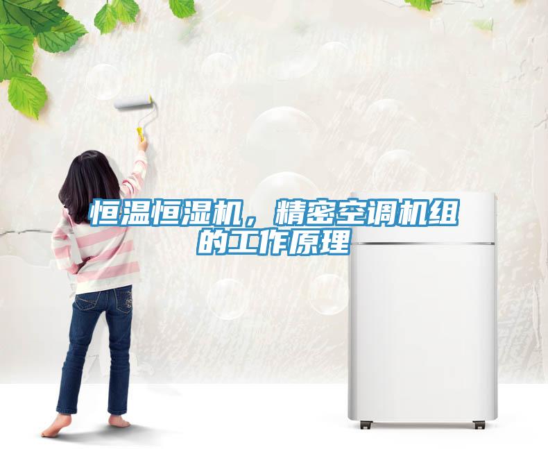 恒溫恒濕機(jī)，精密空調(diào)機(jī)組的工作原理