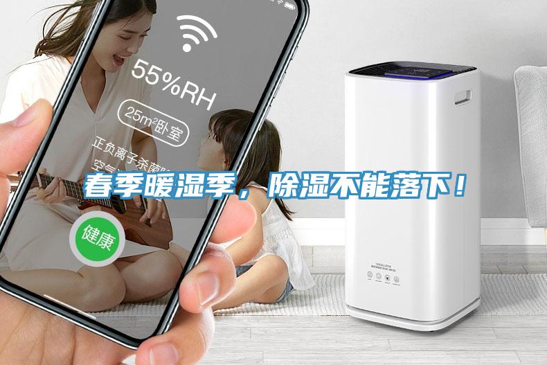春季暖濕季，除濕不能落下！