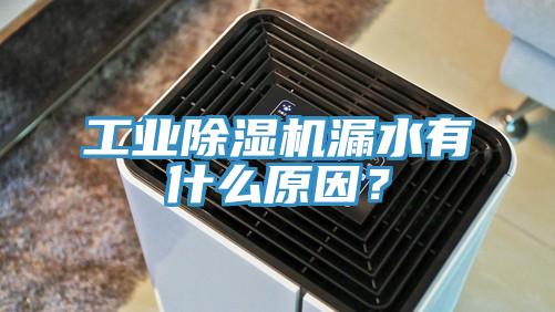 工業(yè)除濕機漏水有什么原因？