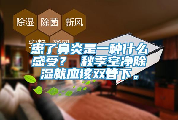 患了鼻炎是一種什么感受？ 秋季空凈除濕就應(yīng)該雙管下。