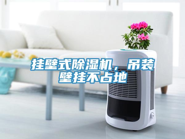 掛壁式除濕機，吊裝壁掛不占地