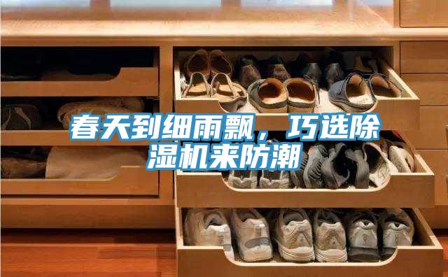 春天到細(xì)雨飄，巧選除濕機(jī)來防潮