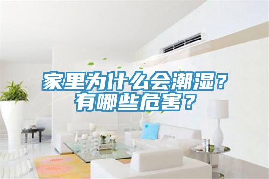 家里為什么會潮濕？有哪些危害？
