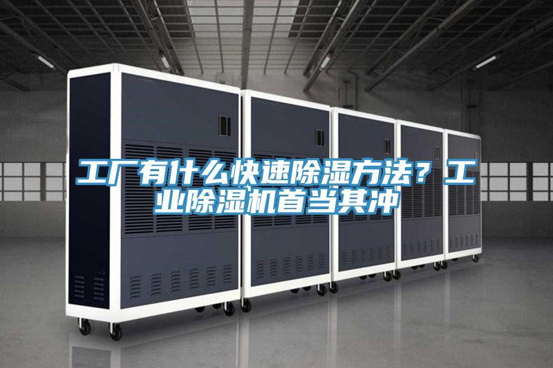 工廠有什么快速除濕方法？工業(yè)除濕機(jī)首當(dāng)其沖
