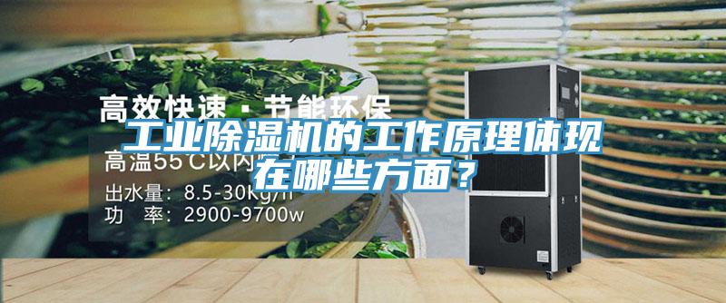 工業(yè)除濕機的工作原理體現(xiàn)在哪些方面？