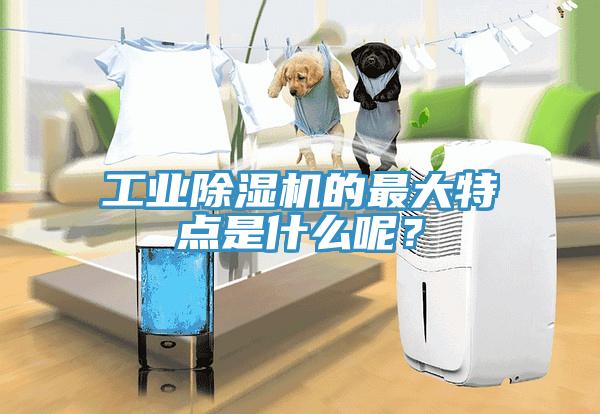工業(yè)除濕機的最大特點是什么呢？