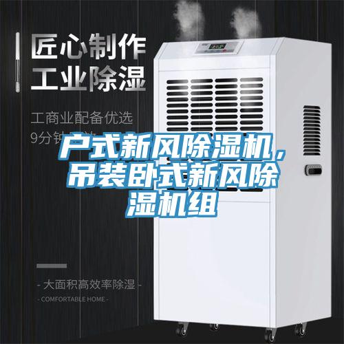 戶(hù)式新風(fēng)除濕機(jī)，吊裝臥式新風(fēng)除濕機(jī)組