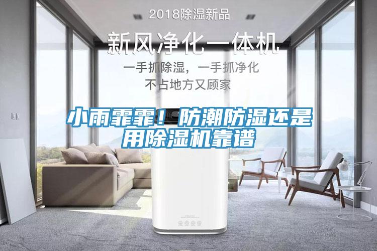 小雨霏霏！防潮防濕還是用除濕機(jī)靠譜
