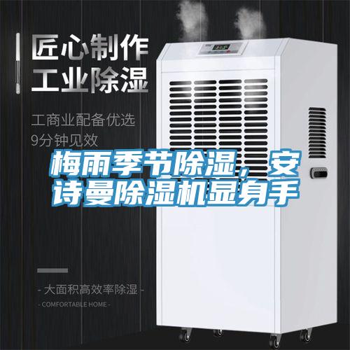 梅雨季節(jié)除濕，安詩曼除濕機顯身手