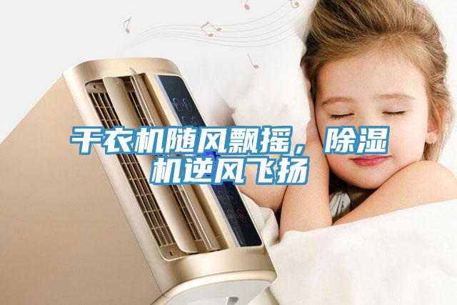 干衣機隨風(fēng)飄搖，除濕機逆風(fēng)飛揚