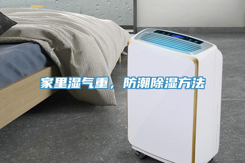 家里濕氣重，防潮除濕方法