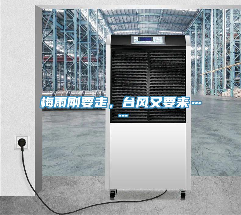 梅雨剛要走，臺風(fēng)又要來……