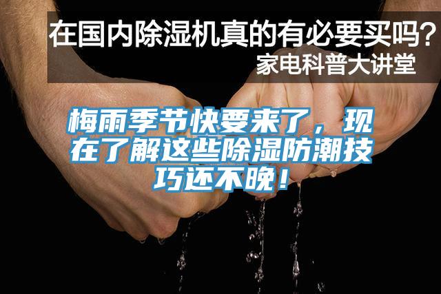 梅雨季節(jié)快要來了，現(xiàn)在了解這些除濕防潮技巧還不晚！