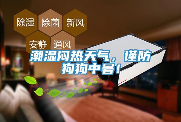 潮濕悶熱天氣，謹防狗狗中暑！