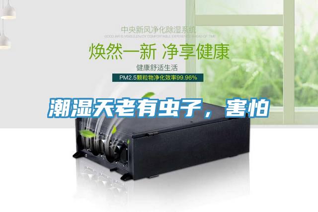潮濕天老有蟲子，害怕