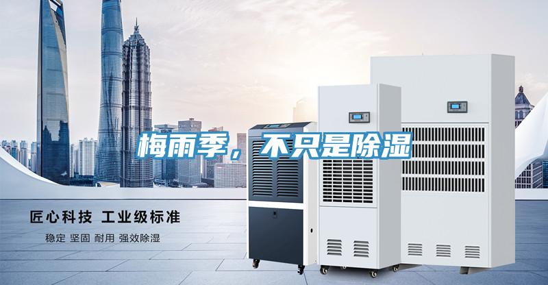 梅雨季，不只是除濕