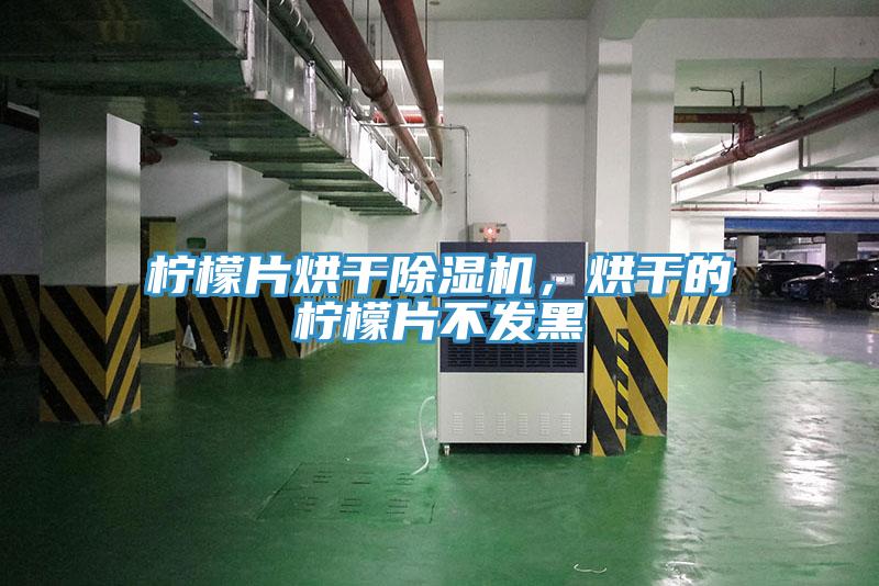 檸檬片烘干除濕機(jī)，烘干的檸檬片不發(fā)黑
