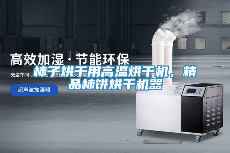 柿子烘干用高溫烘干機(jī)，精品柿餅烘干機(jī)器