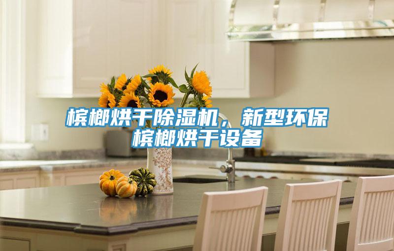 檳榔烘干除濕機(jī)，新型環(huán)保檳榔烘干設(shè)備