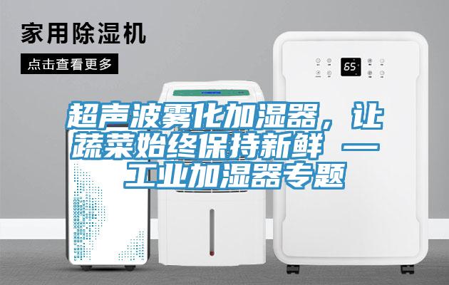 超聲波霧化加濕器，讓蔬菜始終保持新鮮 — 工業(yè)加濕器專題