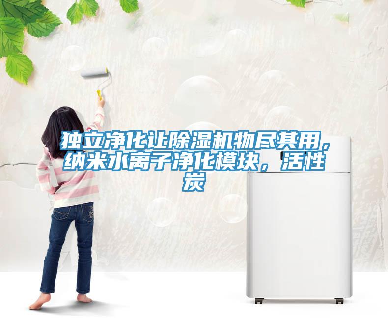 獨立凈化讓除濕機物盡其用，納米水離子凈化模塊，活性炭