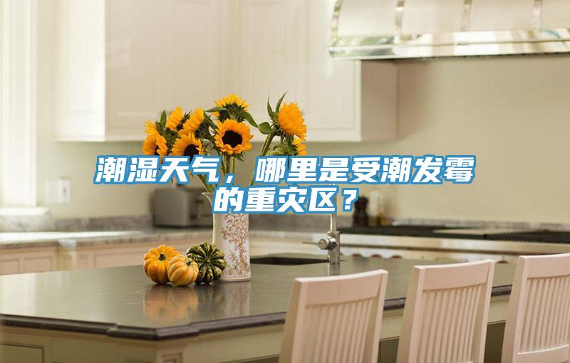 潮濕天氣，哪里是受潮發(fā)霉的重災(zāi)區(qū)？