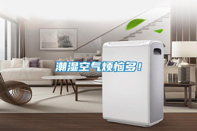 潮濕空氣煩惱多！