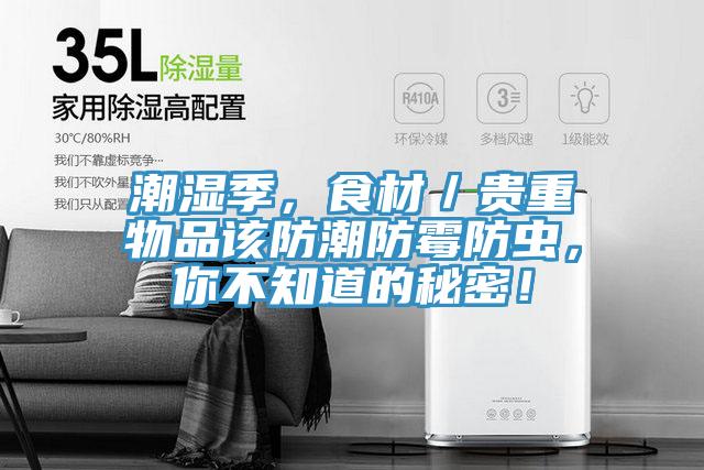 潮濕季，食材／貴重物品該防潮防霉防蟲，你不知道的秘密！