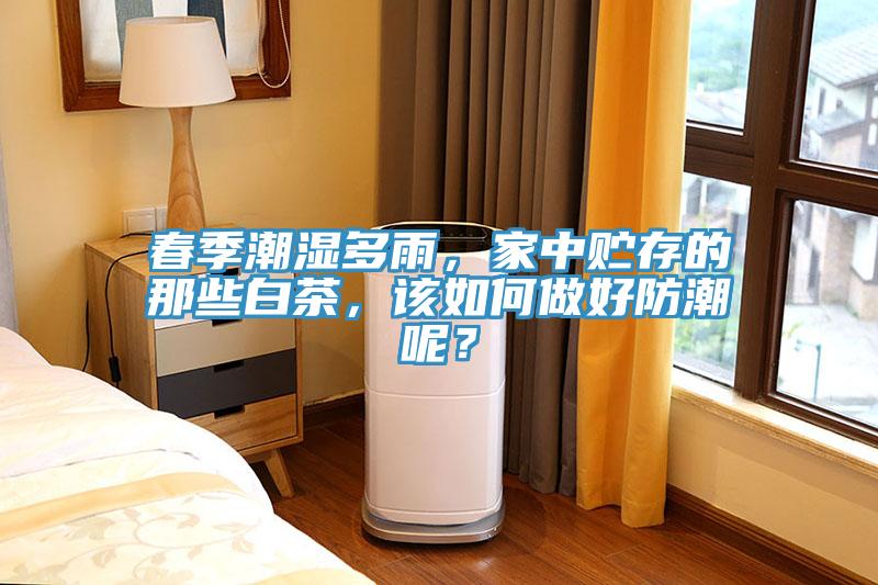 春季潮濕多雨，家中貯存的那些白茶，該如何做好防潮呢？