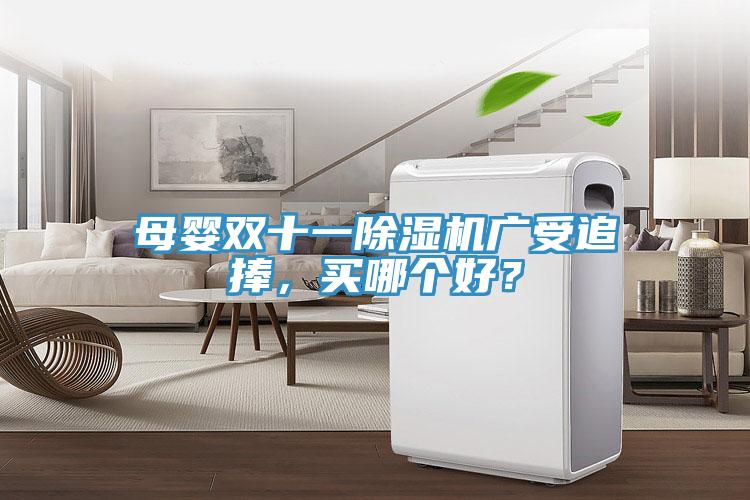 母嬰雙十一除濕機廣受追捧，買哪個好？