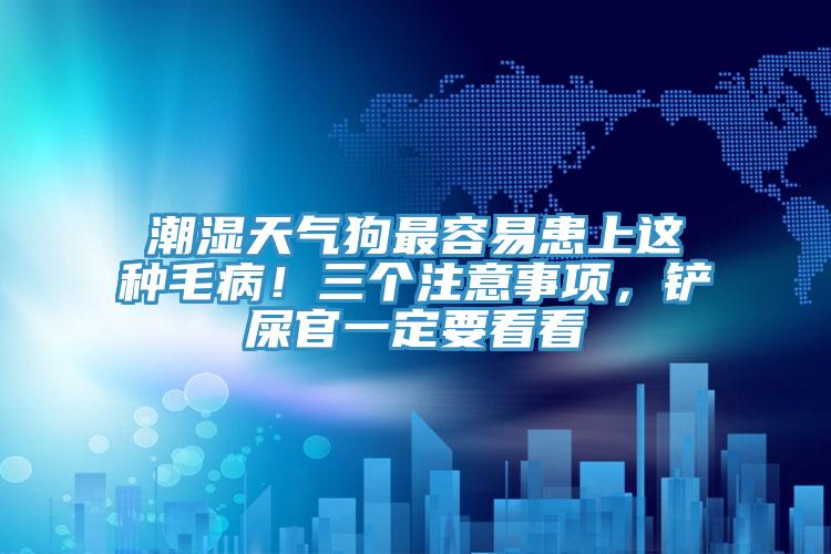 潮濕天氣狗最容易患上這種毛?。∪齻€(gè)注意事項(xiàng)，鏟屎官一定要看看