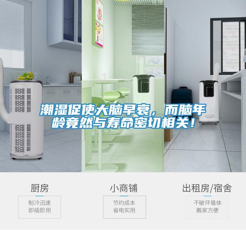 潮濕促使大腦早衰，而腦年齡竟然與壽命密切相關(guān)！