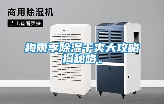 梅雨季除濕干爽大攻略揭秘咯。