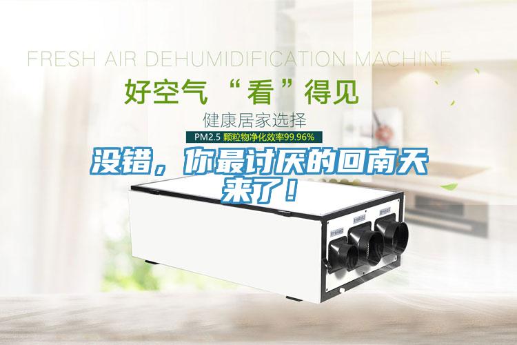 沒錯(cuò)，你最討厭的回南天來(lái)了！