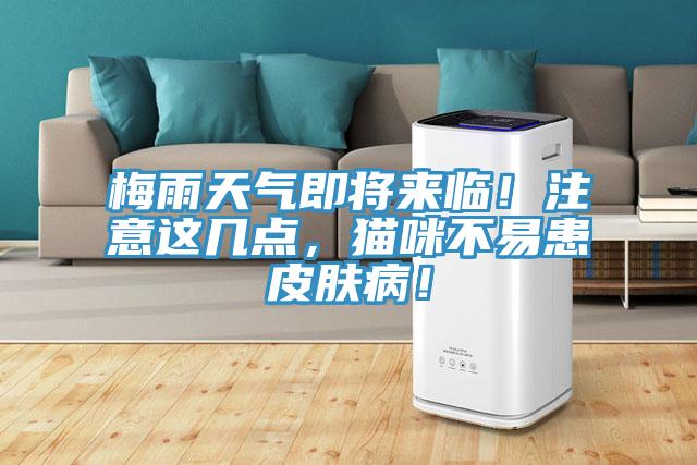 梅雨天氣即將來(lái)臨！注意這幾點(diǎn)，貓咪不易患皮膚??！
