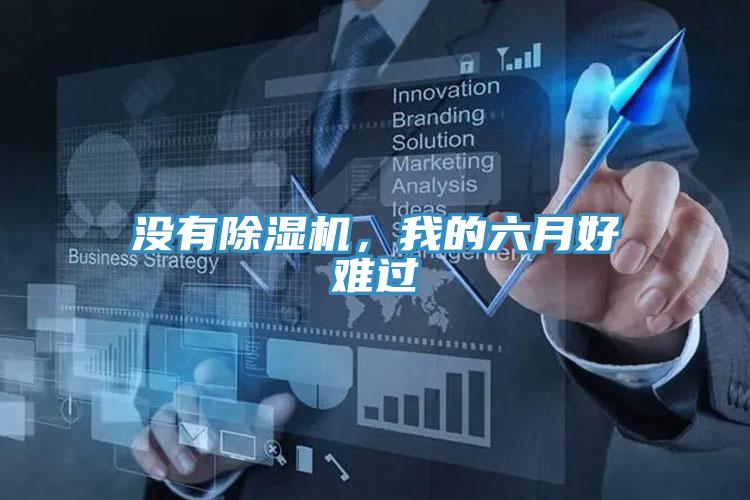 沒有除濕機(jī)，我的六月好難過