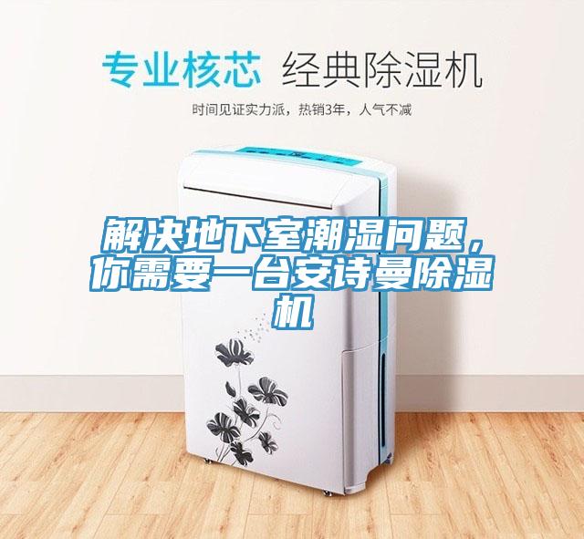 解決地下室潮濕問題，你需要一臺安詩曼除濕機