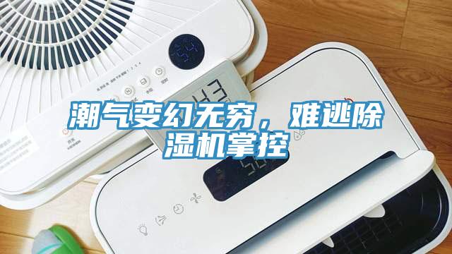 潮氣變幻無(wú)窮，難逃除濕機(jī)掌控
