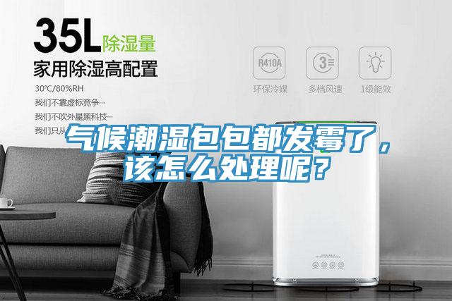 氣候潮濕包包都發(fā)霉了，該怎么處理呢？