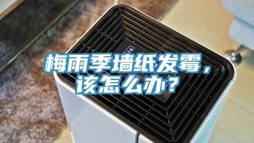 梅雨季墻紙發(fā)霉，該怎么辦？