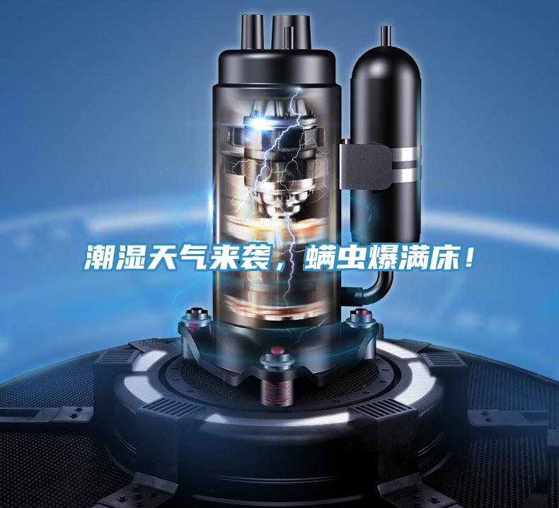 潮濕天氣來襲，螨蟲爆滿床！