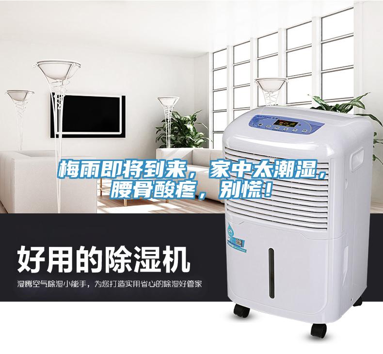 梅雨即將到來，家中太潮濕，腰骨酸疼，別慌！